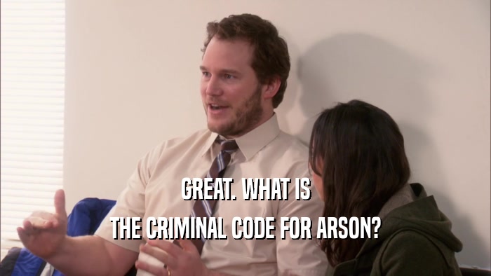 GREAT. WHAT IS THE CRIMINAL CODE FOR ARSON? 