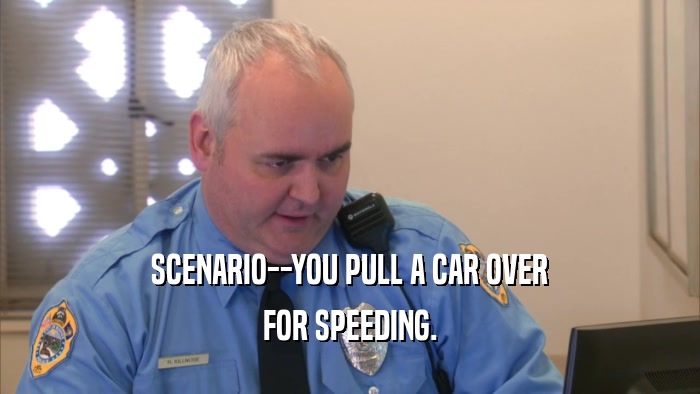 SCENARIO--YOU PULL A CAR OVER FOR SPEEDING. 