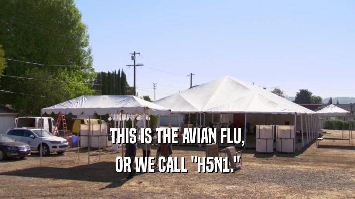 THIS IS THE AVIAN FLU, OR WE CALL 