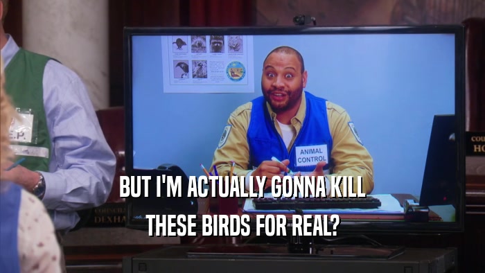 BUT I'M ACTUALLY GONNA KILL THESE BIRDS FOR REAL? 