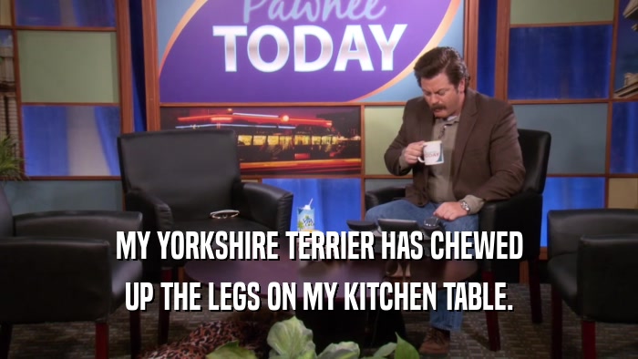 MY YORKSHIRE TERRIER HAS CHEWED UP THE LEGS ON MY KITCHEN TABLE. 