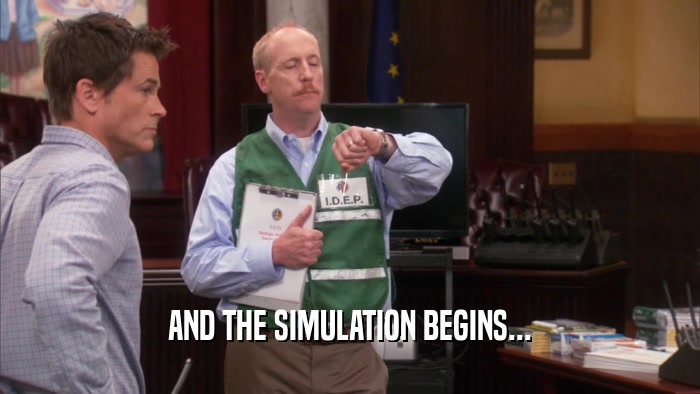 AND THE SIMULATION BEGINS...  
