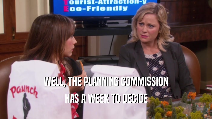 WELL, THE PLANNING COMMISSION HAS A WEEK TO DECIDE 