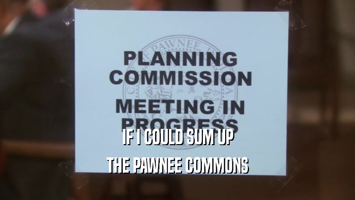 IF I COULD SUM UP THE PAWNEE COMMONS 