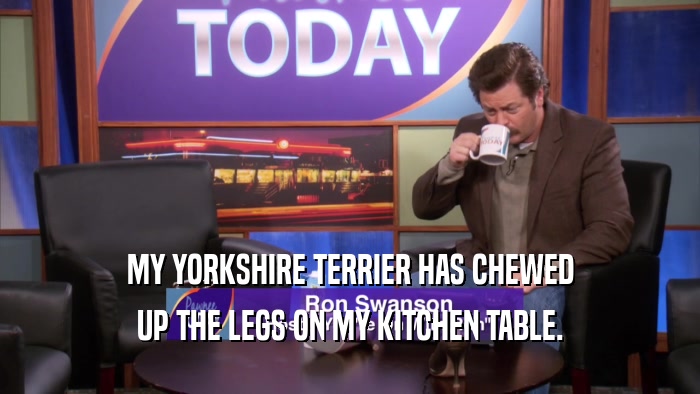 MY YORKSHIRE TERRIER HAS CHEWED UP THE LEGS ON MY KITCHEN TABLE. 