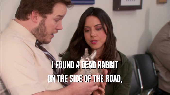 I FOUND A DEAD RABBIT ON THE SIDE OF THE ROAD, 