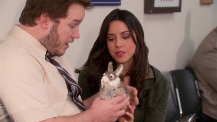 I FOUND A DEAD RABBIT ON THE SIDE OF THE ROAD, 