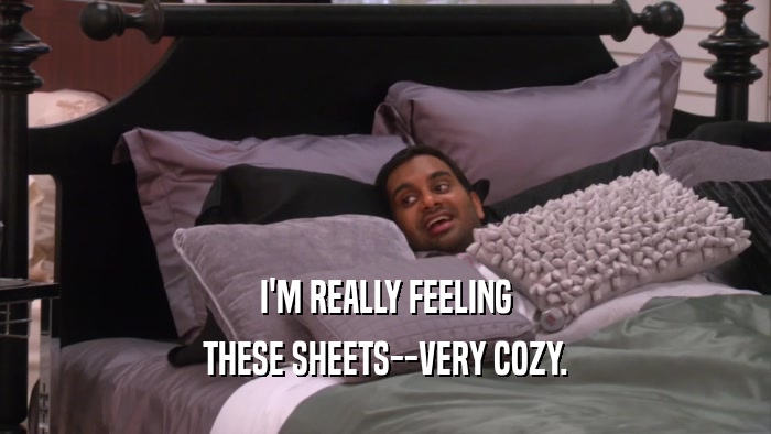I'M REALLY FEELING THESE SHEETS--VERY COZY. 