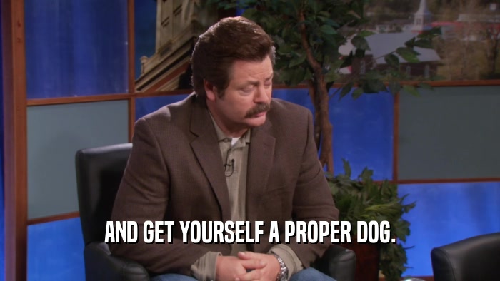 AND GET YOURSELF A PROPER DOG.  