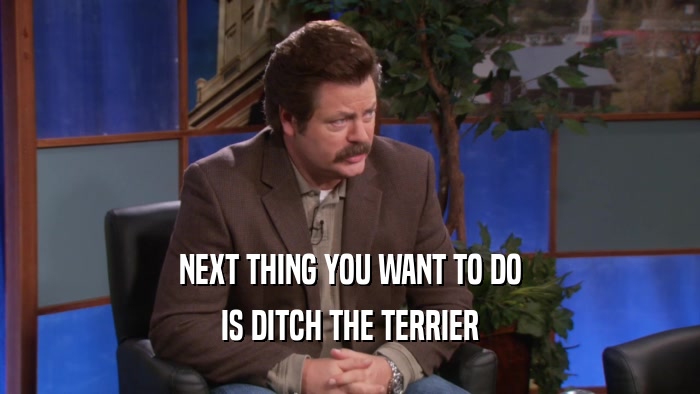 NEXT THING YOU WANT TO DO IS DITCH THE TERRIER 