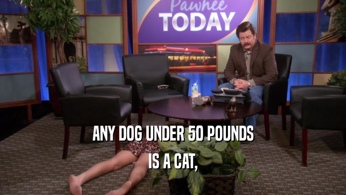 ANY DOG UNDER 50 POUNDS IS A CAT, 