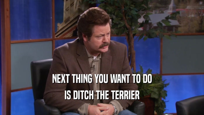 NEXT THING YOU WANT TO DO IS DITCH THE TERRIER 