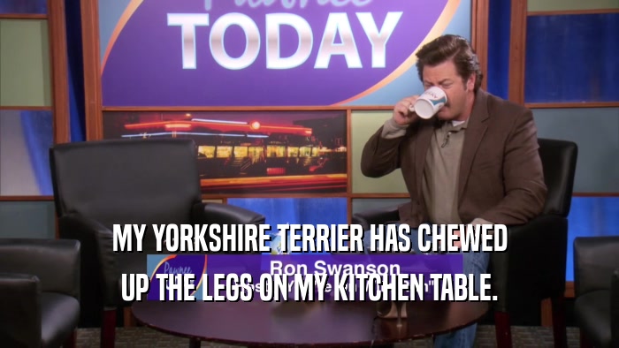 MY YORKSHIRE TERRIER HAS CHEWED UP THE LEGS ON MY KITCHEN TABLE. 