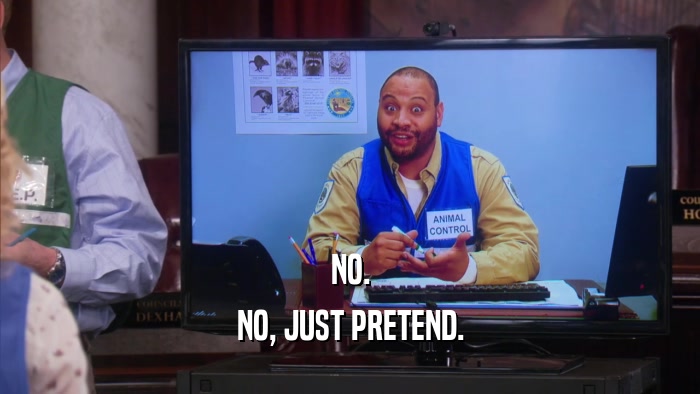NO. NO, JUST PRETEND. 