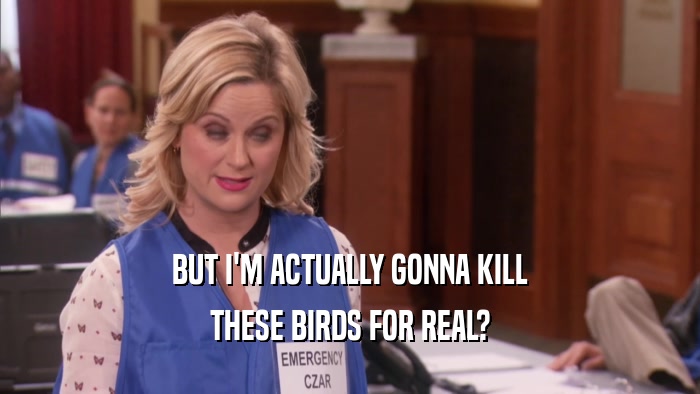 BUT I'M ACTUALLY GONNA KILL THESE BIRDS FOR REAL? 