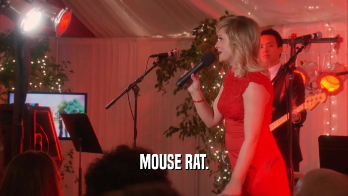 MOUSE RAT.  