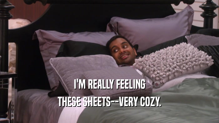 I'M REALLY FEELING THESE SHEETS--VERY COZY. 