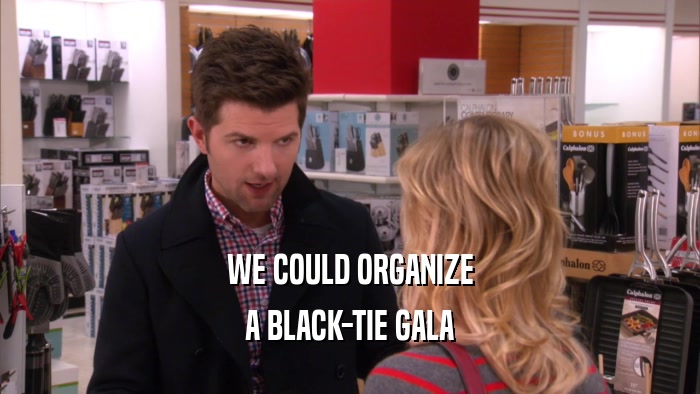 WE COULD ORGANIZE A BLACK-TIE GALA 