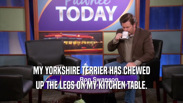 MY YORKSHIRE TERRIER HAS CHEWED UP THE LEGS ON MY KITCHEN TABLE. 