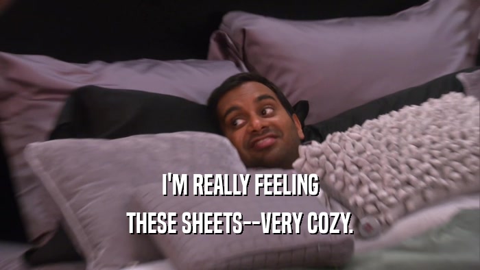 I'M REALLY FEELING THESE SHEETS--VERY COZY. 