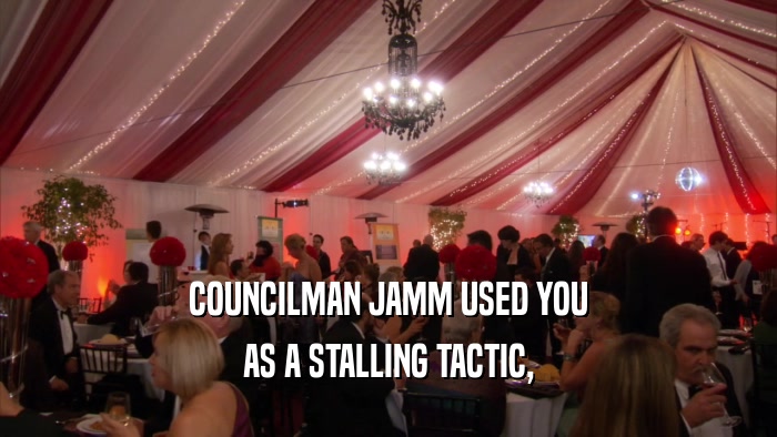 COUNCILMAN JAMM USED YOU
 AS A STALLING TACTIC,
 
