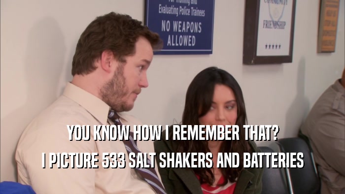 YOU KNOW HOW I REMEMBER THAT? I PICTURE 533 SALT SHAKERS AND BATTERIES 