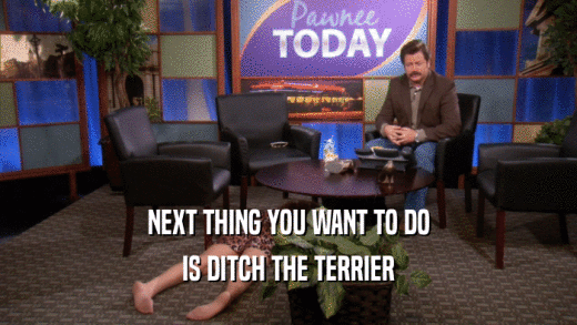 NEXT THING YOU WANT TO DO IS DITCH THE TERRIER 
