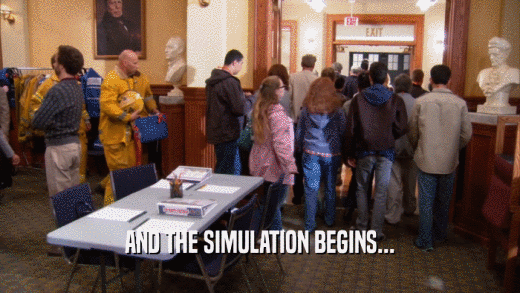 AND THE SIMULATION BEGINS...  