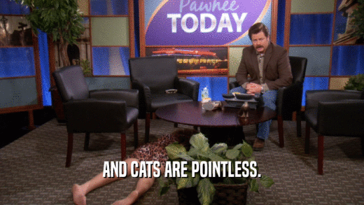 AND CATS ARE POINTLESS.  