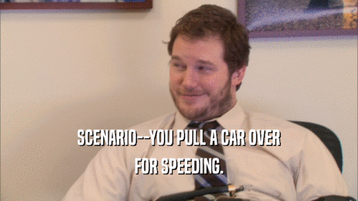 SCENARIO--YOU PULL A CAR OVER FOR SPEEDING. 