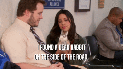 I FOUND A DEAD RABBIT ON THE SIDE OF THE ROAD, 