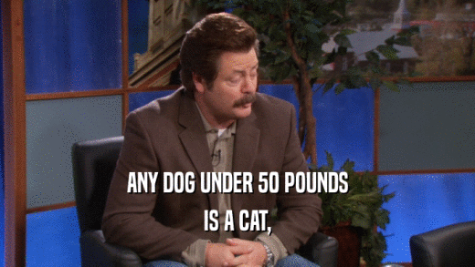 ANY DOG UNDER 50 POUNDS IS A CAT, 