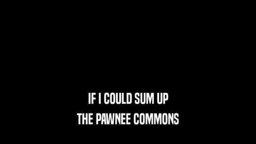 IF I COULD SUM UP THE PAWNEE COMMONS 