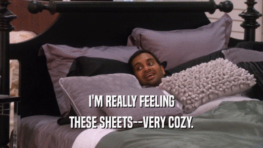 I'M REALLY FEELING THESE SHEETS--VERY COZY. 