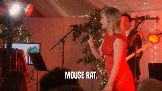 MOUSE RAT.  