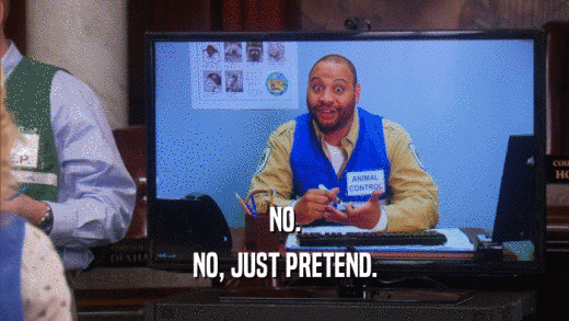 NO. NO, JUST PRETEND. 