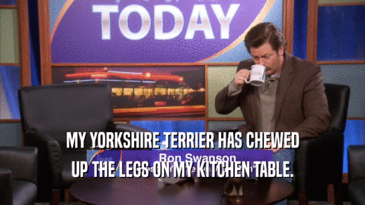 MY YORKSHIRE TERRIER HAS CHEWED UP THE LEGS ON MY KITCHEN TABLE. 