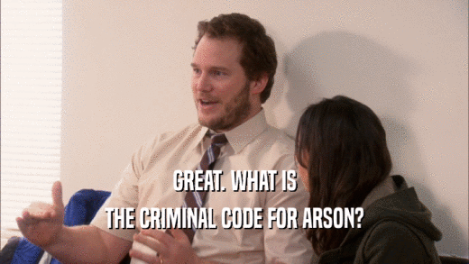 GREAT. WHAT IS THE CRIMINAL CODE FOR ARSON? 