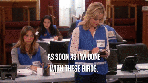 AS SOON AS I'M DONE WITH THESE BIRDS. 