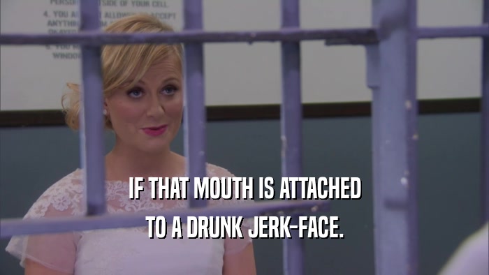IF THAT MOUTH IS ATTACHED TO A DRUNK JERK-FACE. 
