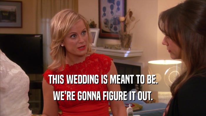 THIS WEDDING IS MEANT TO BE. WE'RE GONNA FIGURE IT OUT. 