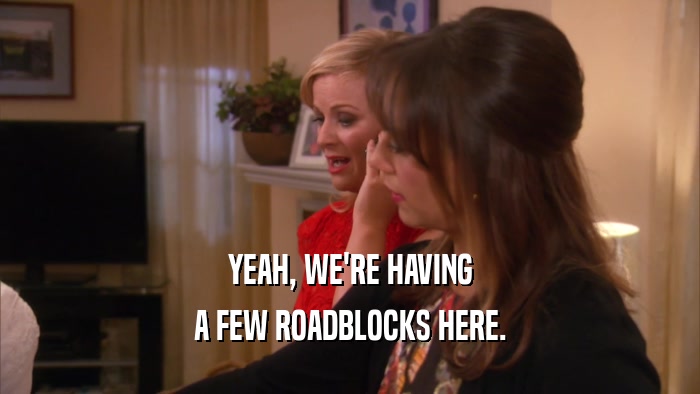 YEAH, WE'RE HAVING A FEW ROADBLOCKS HERE. 