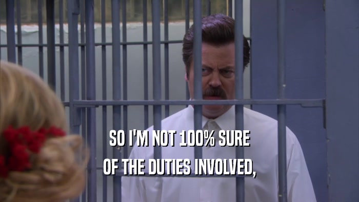 SO I'M NOT 100% SURE OF THE DUTIES INVOLVED, 