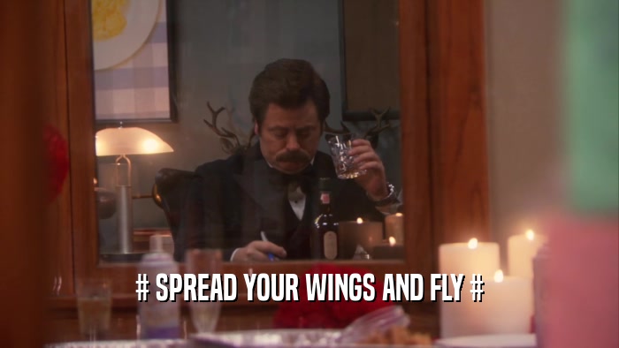# SPREAD YOUR WINGS AND FLY #  