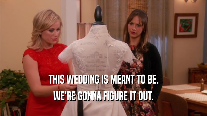 THIS WEDDING IS MEANT TO BE. WE'RE GONNA FIGURE IT OUT. 