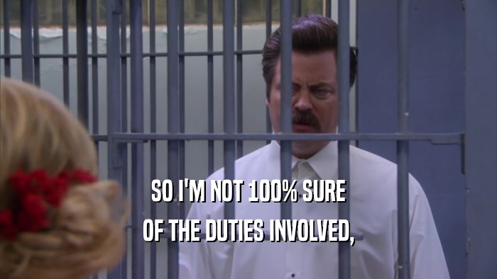 SO I'M NOT 100% SURE OF THE DUTIES INVOLVED, 