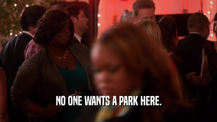 NO ONE WANTS A PARK HERE.  