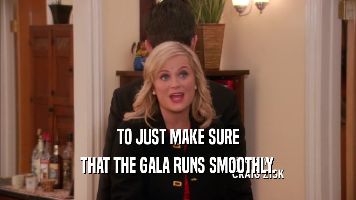 TO JUST MAKE SURE THAT THE GALA RUNS SMOOTHLY. 