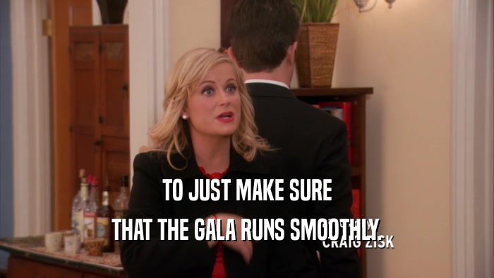 TO JUST MAKE SURE THAT THE GALA RUNS SMOOTHLY. 