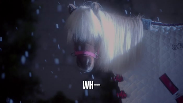 WH--  
